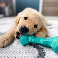 Image result for Best Dog Toys for Chewers