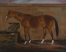 Image result for 1800s Lexington Race Horse