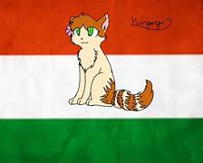 Image result for Hetalia Hungary Cat