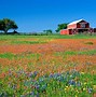 Image result for Texas Wallpaper