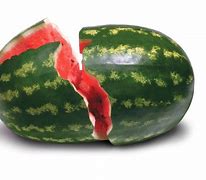 Image result for Smashed Melon