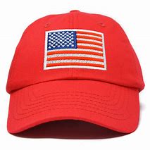 Image result for 39THIRTY Hats American Flag