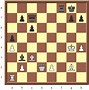 Image result for Jennifer Williams Chess