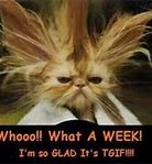 Image result for Rough Week Happy Friday