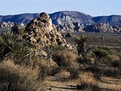 Image result for Best Desert Landscape Ideas
