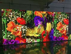 Image result for Nature Image LED Screen