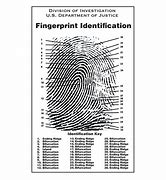 Image result for Fingerprint Crime