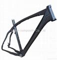 Image result for Cycle X Frames