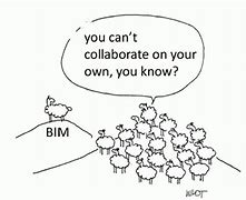 Image result for Bim Cartoon