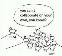 Image result for Bim Cartoon