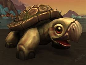Image result for 25 Turtle WoW