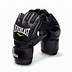 Image result for Everlast MMA Gloves