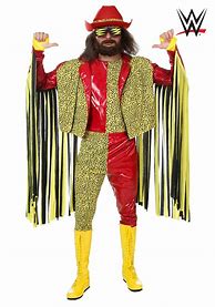 Image result for WWE Costumes Adults