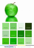 Image result for What Color Are Apple's