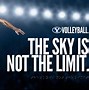 Image result for Volleyball Net Wallpaper