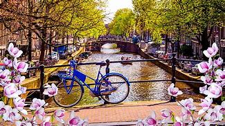 Image result for Netherlands Places to Visit