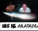 Image result for Largest World Biggest Fish