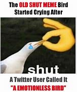 Image result for Shut Up Bird Meme