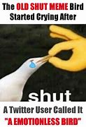 Image result for Shut Bird Meme