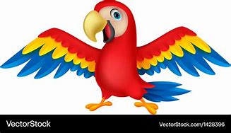 Image result for A Cartoon Parrot