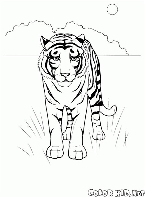Image result for Python in Practice Book Latest Edition