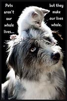 Image result for Clip Art Animal Quotes