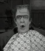 Image result for The Munsters Film