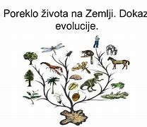 Image result for Drvo Zivota Biologija