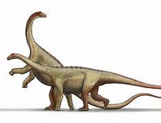 Image result for Dinosaurs Mammals