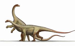 Image result for Dinosaur Onesie Kids