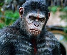 Image result for Dawn of the Planet of the Apes Movie