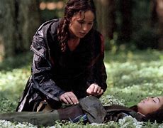Image result for Hunger Games Rue's Death