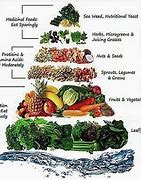 Image result for Plant-Based Diet Food Pyramid