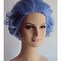 Image result for Old Lady Costume Wigs