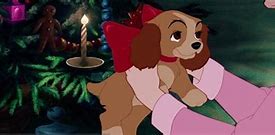 Image result for Lady and the Tramp DVD