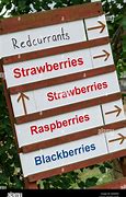 Image result for Pick Your Own Produce Sign