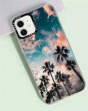 Image result for Palm Tree Display Case