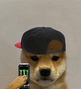 Image result for Cool Doggo