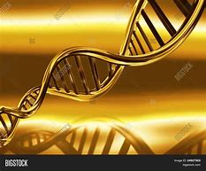 Image result for Golden DNA Shining Coming Out of a Box