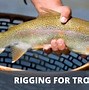 Image result for Trout Bobber Fishing Rigs