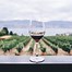 Image result for Pinotage Red Wine