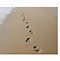 Image result for Baby Footprints Sand