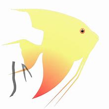 Image result for Angel Fish Clip Art