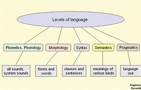 Image result for English Language Linguistics