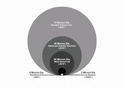 Image result for Micron Size Comparison Chart