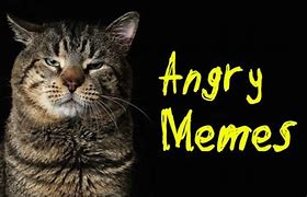Image result for Gas Angry Face Meme