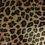 Image result for Glittery Cheetah Print