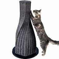 Image result for Cat Scratching Products