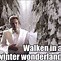 Image result for Snow Memes Facebook