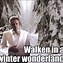 Image result for Funny Heavy Snow Memes